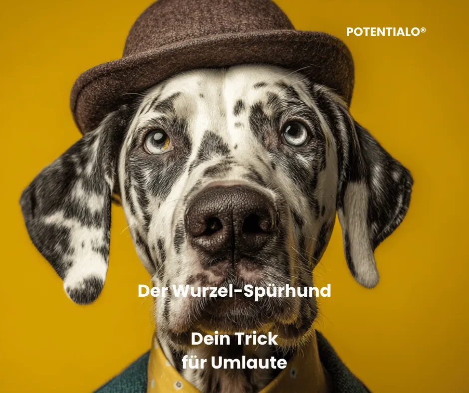 Die vergessene Logik der deutschen Umlaute